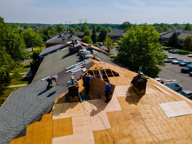 Quick and Trustworthy Emergency Roof Repair Services in Pinewood, FL